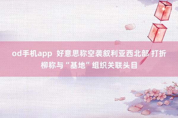 od手机app  好意思称空袭叙利亚西北部 打折柳称与“基地”组织关联头目