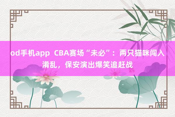 od手机app  CBA赛场“未必”：两只猫咪闯入淆乱，保安演出爆笑追赶战