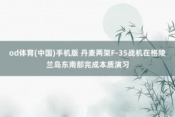 od体育(中国)手机版 丹麦两架F-35战机在格陵兰岛东南部完成本质演习
