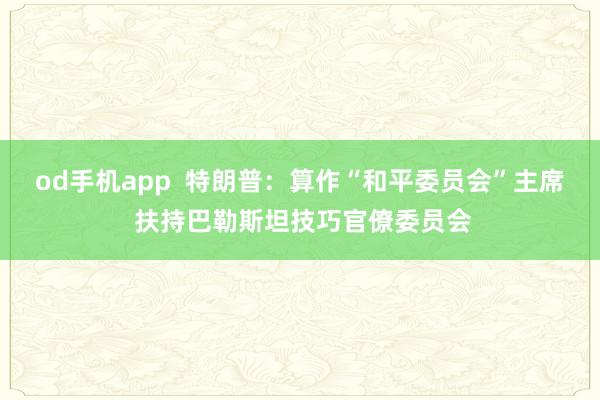 od手机app  特朗普：算作“和平委员会”主席 扶持巴勒斯坦技巧官僚委员会