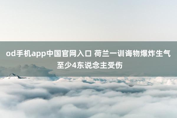 od手机app中国官网入口 荷兰一训诲物爆炸生气 至少4东说念主受伤