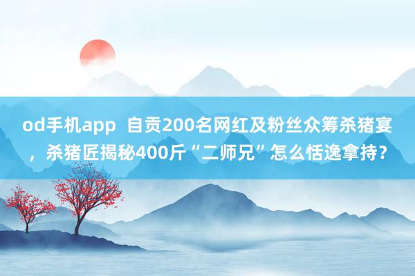 od手机app  自贡200名网红及粉丝众筹杀猪宴，杀猪匠揭秘400斤“二师兄”怎么恬逸拿持？