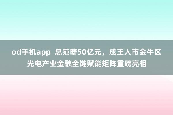 od手机app  总范畴50亿元，成王人市金牛区光电产业金融全链赋能矩阵重磅亮相