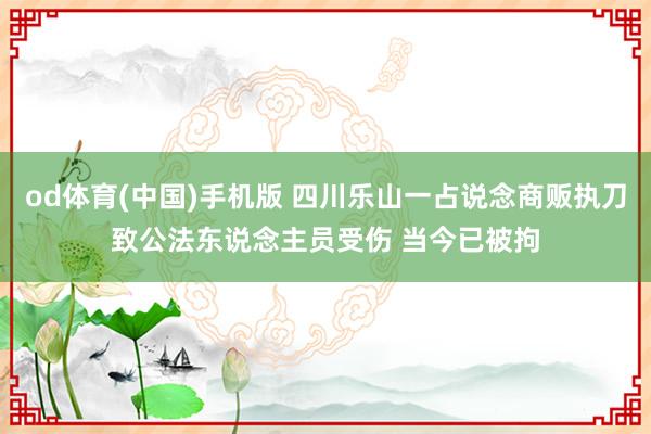 od体育(中国)手机版 四川乐山一占说念商贩执刀致公法东说念主员受伤 当今已被拘