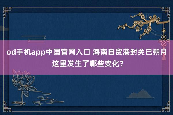 od手机app中国官网入口 海南自贸港封关已朔月 这里发生了哪些变化？