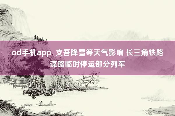 od手机app  支吾降雪等天气影响 长三角铁路谋略临时停运部分列车