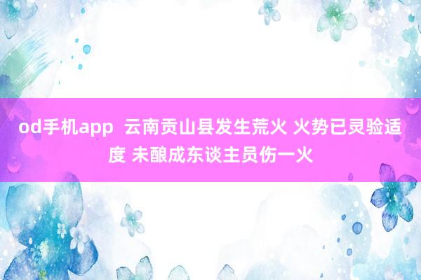 od手机app  云南贡山县发生荒火 火势已灵验适度 未酿成东谈主员伤一火