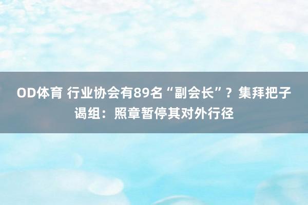 OD体育 行业协会有89名“副会长”？集拜把子谒组：照章暂停其对外行径