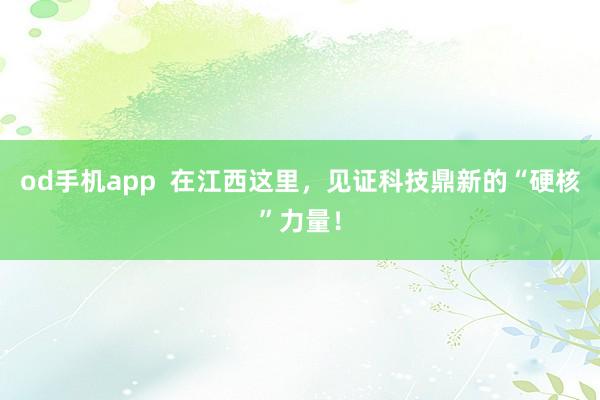 od手机app  在江西这里，见证科技鼎新的“硬核”力量！