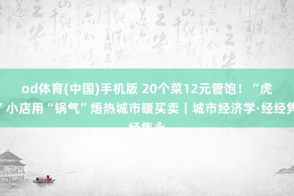 od体育(中国)手机版 20个菜12元管饱！“虎哥”小店用“锅气”焐热城市暖买卖丨城市经济学·经经隽永