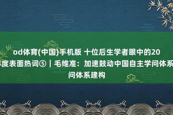 od体育(中国)手机版 十位后生学者眼中的2025年度表面热词⑤｜毛维准：加速鼓动中国自主学问体系建构