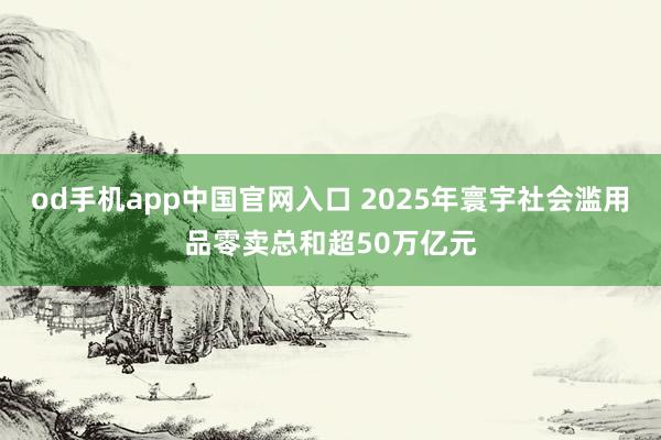 od手机app中国官网入口 2025年寰宇社会滥用品零卖总和超50万亿元