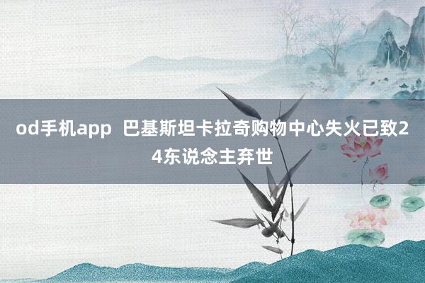 od手机app  巴基斯坦卡拉奇购物中心失火已致24东说念主弃世