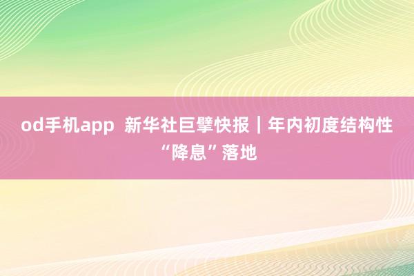 od手机app  新华社巨擘快报｜年内初度结构性“降息”落地