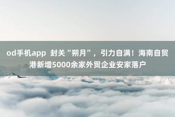 od手机app  封关“朔月”，引力自满！海南自贸港新增5000余家外贸企业安家落户