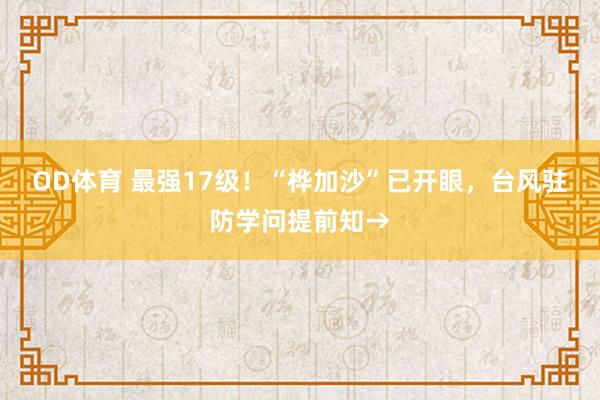OD体育 最强17级！“桦加沙”已开眼，台风驻防学问提前知→