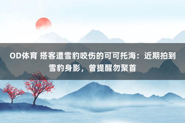 OD体育 搭客遭雪豹咬伤的可可托海：近期拍到雪豹身影，曾提醒勿聚首