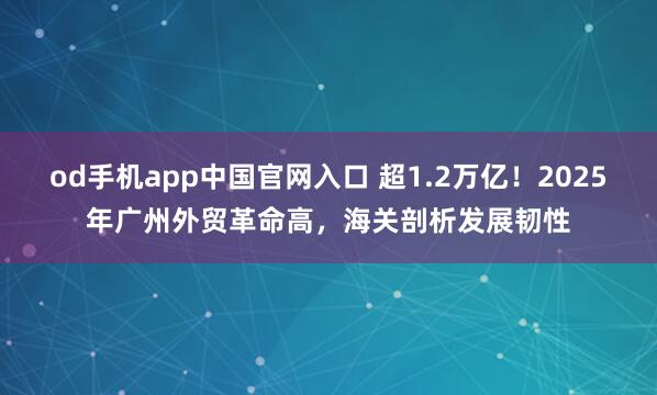 od手机app中国官网入口 超1.2万亿！2025年广州外贸革命高，海关剖析发展韧性