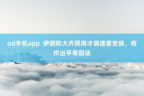 od手机app  伊朗称大齐民用才调遭袭受损，将作出平等回话
