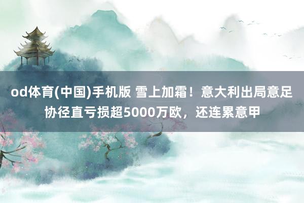 od体育(中国)手机版 雪上加霜!意大利出局意足协径直亏损超5000万欧,还连累意甲