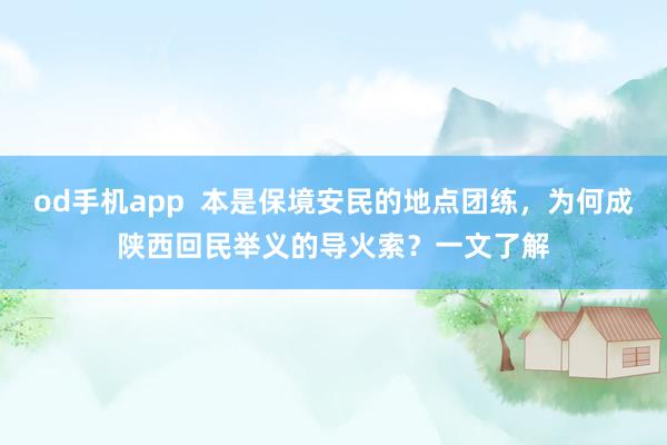 od手机app  本是保境安民的地点团练，为何成陕西回民举义的导火索？一文了解
