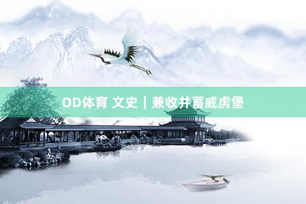 OD体育 文史｜兼收并蓄威虏堡