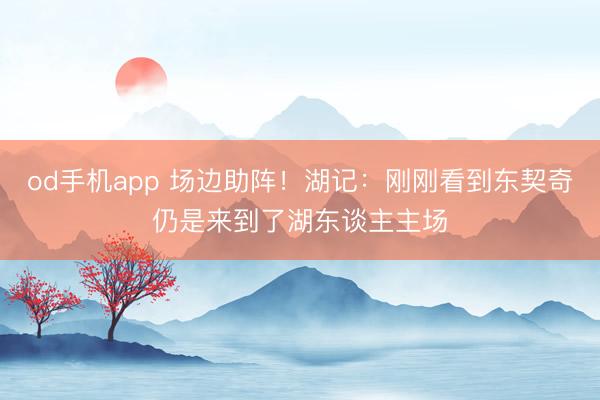 od手机app 场边助阵！湖记：刚刚看到东契奇仍是来到了湖东谈主主场