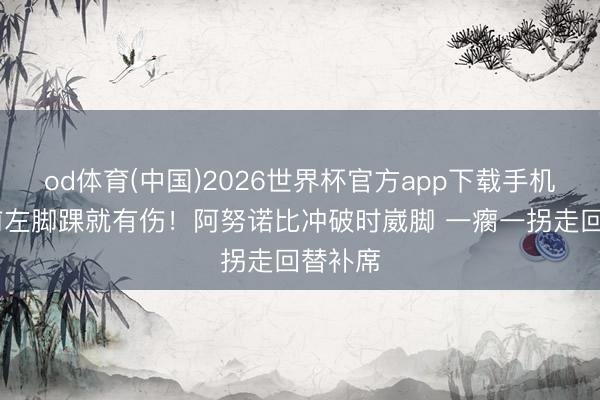 od体育(中国)2026世界杯官方app下载手机版 此前左脚踝就有伤！阿努诺比冲破时崴脚 一瘸一拐走回替补席