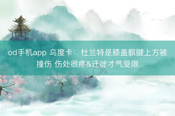 od手机app 乌度卡：杜兰特是膝盖髌腱上方被撞伤 伤处很疼&迁徙才气受限