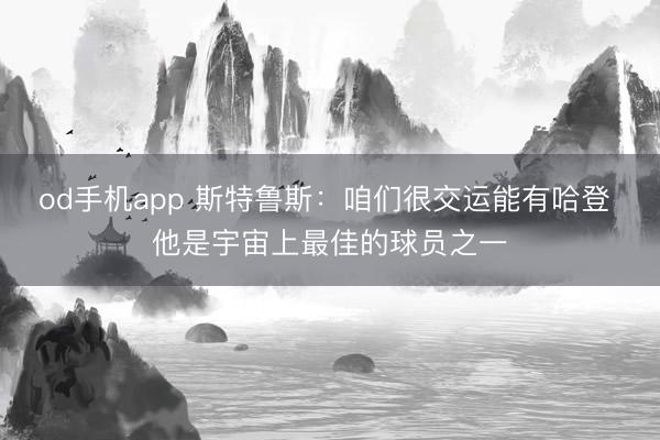 od手机app 斯特鲁斯：咱们很交运能有哈登 他是宇宙上最佳的球员之一