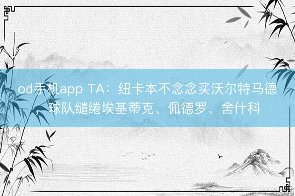 od手机app TA：纽卡本不念念买沃尔特马德，球队缱绻埃基蒂克、佩德罗、舍什科