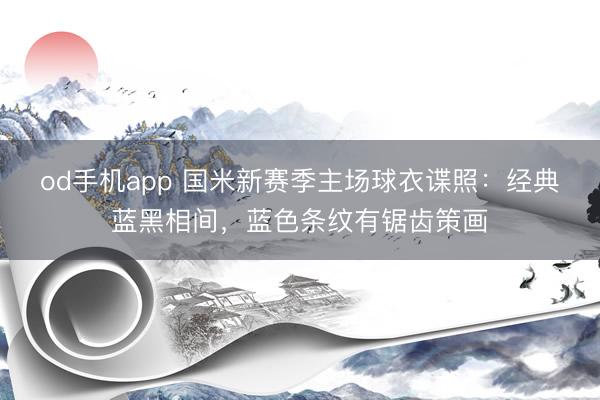 od手机app 国米新赛季主场球衣谍照：经典蓝黑相间，蓝色条纹有锯齿策画