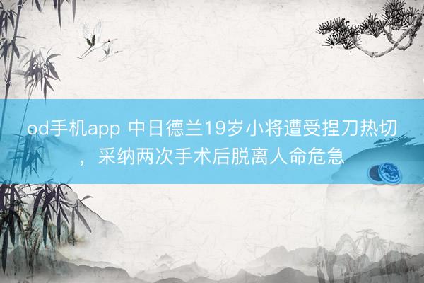 od手机app 中日德兰19岁小将遭受捏刀热切,采纳两次手术后脱离人命危急