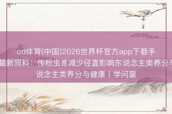 od体育(中国)2026世界杯官方app下载手机版 《天然》最新照料：传粉虫豸减少径直影响东说念主类养分与健康丨学问窗