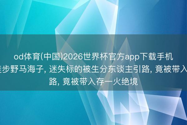 od体育(中国)2026世界杯官方app下载手机版 两驴友徒步野马海子， 迷失标的被生分东谈主引路， 竟被带入存一火绝境