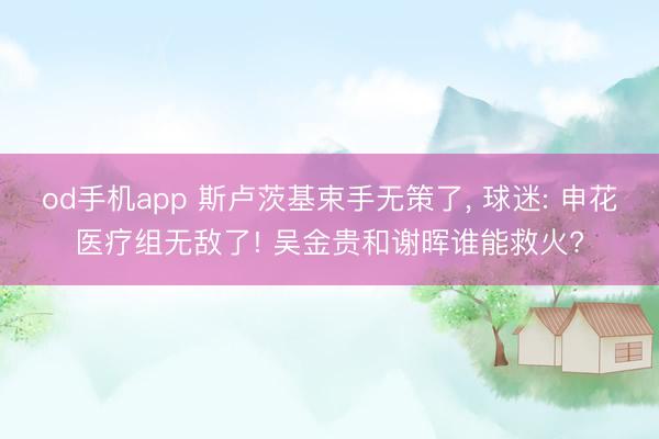 od手机app 斯卢茨基束手无策了， 球迷: 申花医疗组无敌了! 吴金贵和谢晖谁能救火?