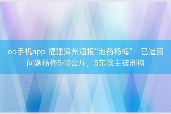 od手机app 福建漳州通报“泡药杨梅”：已追回问题杨梅540公斤，5东谈主被刑拘
