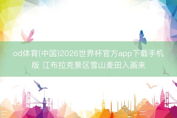 od体育(中国)2026世界杯官方app下载手机版 江布拉克景区雪山麦田入画来