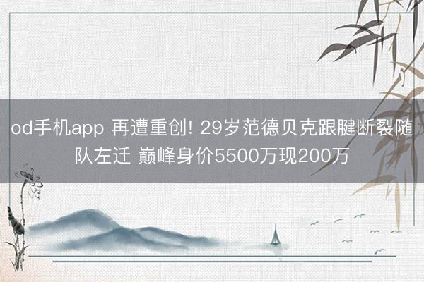 od手机app 再遭重创! 29岁范德贝克跟腱断裂随队左迁 巅峰身价5500万现200万