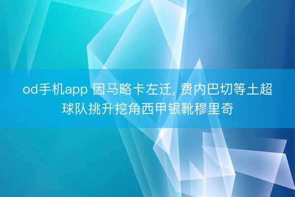 od手机app 因马略卡左迁, 费内巴切等土超球队挑升挖角西甲银靴穆里奇