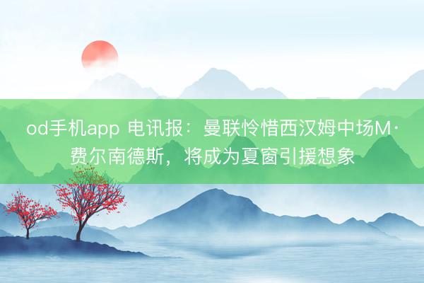 od手机app 电讯报：曼联怜惜西汉姆中场M·费尔南德斯，将成为夏窗引援想象