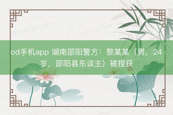 od手机app 湖南邵阳警方：黎某某（男，24岁，邵阳县东谈主）被捏获