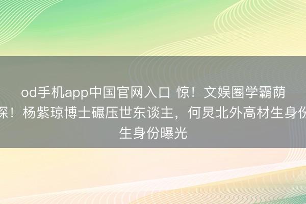 od手机app中国官网入口 惊！文娱圈学霸荫藏太深！杨紫琼博士碾压世东谈主，何炅北外高材生身份曝光