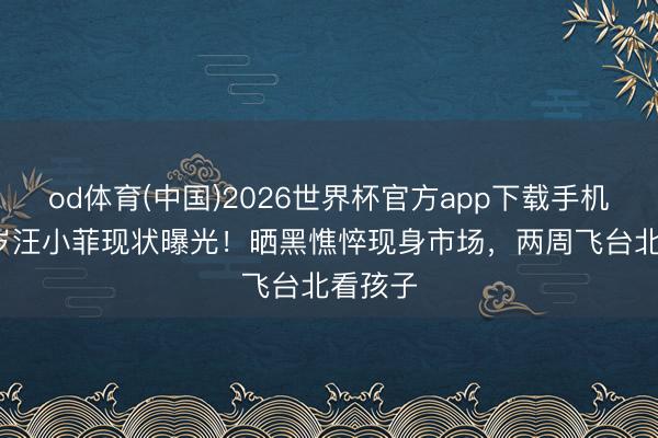 od体育(中国)2026世界杯官方app下载手机版 43岁汪小菲现状曝光!晒黑憔悴现身市场,两周飞台北看孩子