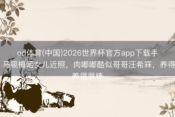 od体育(中国)2026世界杯官方app下载手机版 马筱梅晒女儿近照，肉嘟嘟酷似哥哥汪希箖，养得很棒