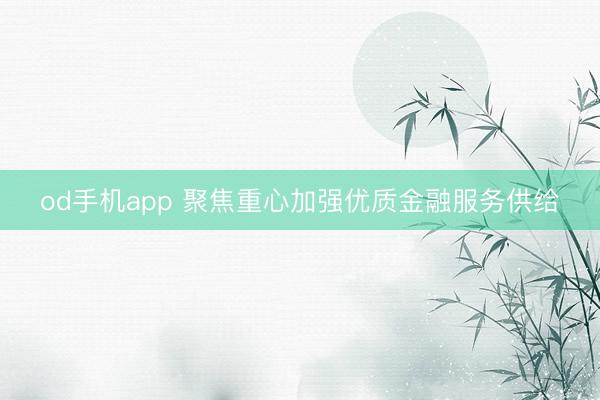 od手机app 聚焦重心加强优质金融服务供给
