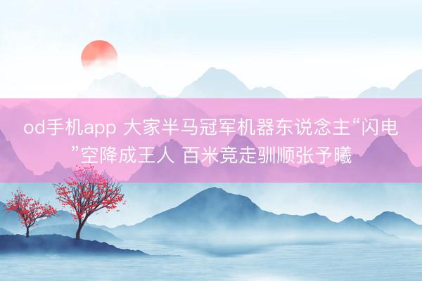 od手机app 大家半马冠军机器东说念主“闪电”空降成王人 百米竞走驯顺张予曦