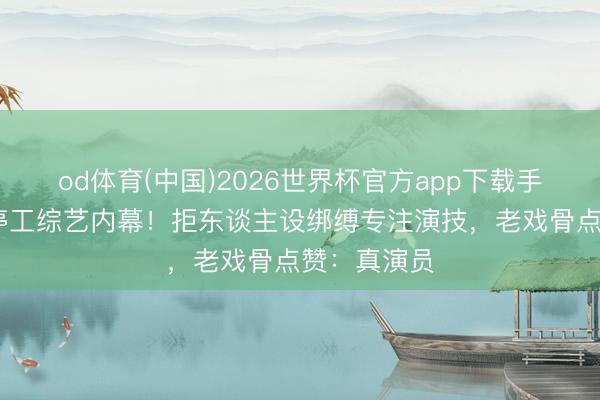 od体育(中国)2026世界杯官方app下载手机版 杨紫停工综艺内幕！拒东谈主设绑缚专注演技，老戏骨点赞：真演员