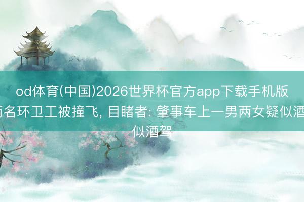 od体育(中国)2026世界杯官方app下载手机版 两名环卫工被撞飞, 目睹者: 肇事车上一男两女疑似酒驾