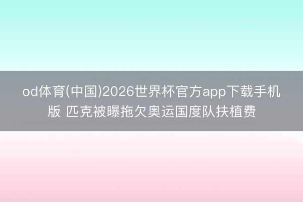 od体育(中国)2026世界杯官方app下载手机版 匹克被曝拖欠奥运国度队扶植费